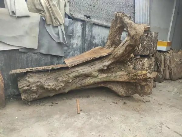 Hướng Dẫn Cách Phân Biệt Các Loại Gỗ Hương Vô Cùng Đơn Giản