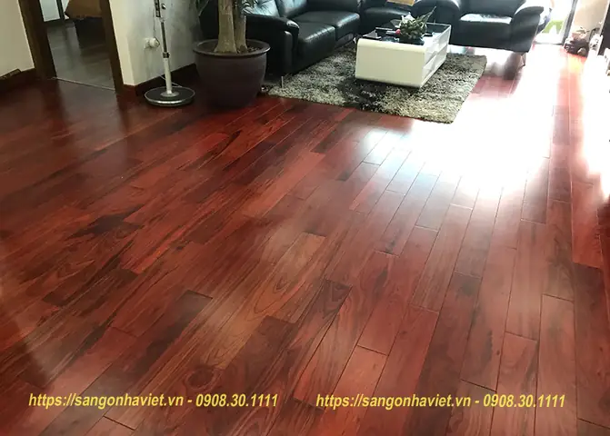 San-go-huong-nam-phi