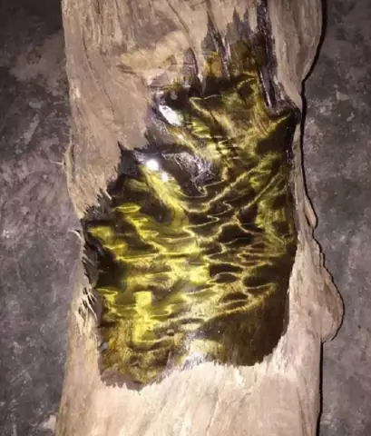 Gỗ Kim Tơ Nam Giá Bao Nhiêu? Yếu Tố Ảnh Hưởng & Bảng Giá Tham Khảo