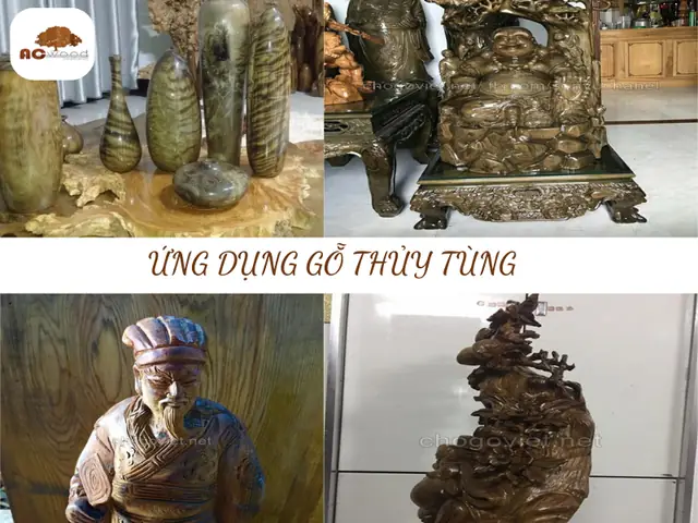 Ứng Dụng Của Gỗ Thủy Tùng Là Gì? Ứng Dụng Của Gỗ Thủy Tùng Là Gì?
