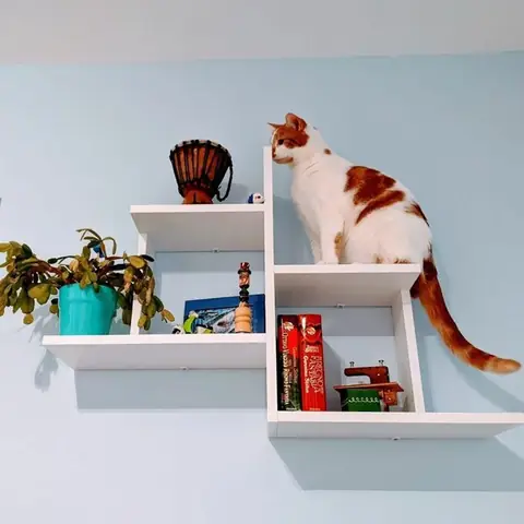 Kệ Gỗ Treo Tường Phòng Khách