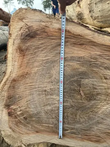 Gỗ Nghiến Thuộc Nhóm Mấy?