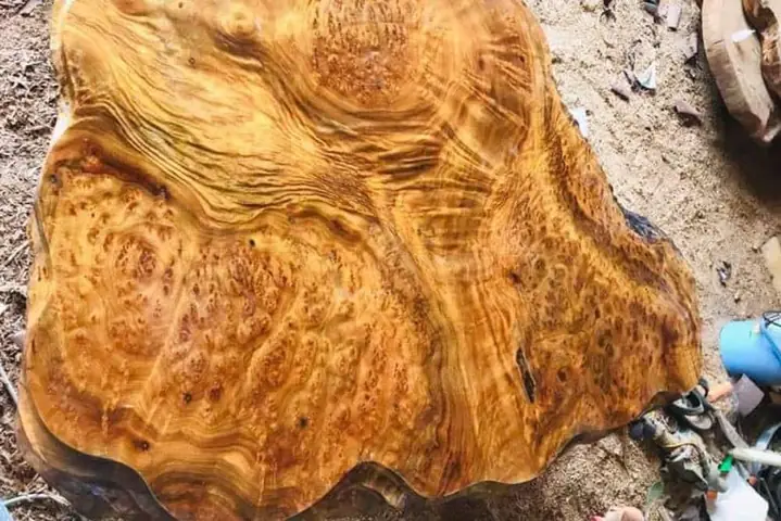 Gỗ Xá Xị Mang Lại Độ Bền Đẹp Không?