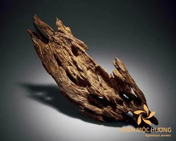 Gốc Gỗ Hương Tuyệt Đẹp: Biểu Tượng Của Sự Tinh Tế Trong Nội Thất