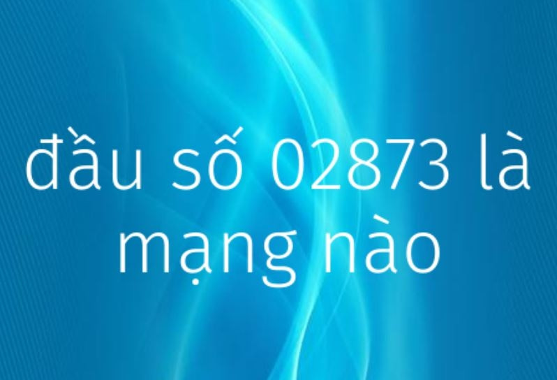 Hình ảnh minh họa về việc xác định đầu số điện thoại cố định 02873 thuộc FPT Telecom tại TP.HCM