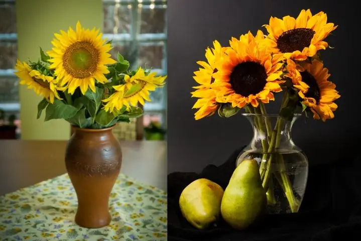 9cách Cắm Hoa Ngày Tết Đẹp Mắt Bằng Hoa Hướng Dương