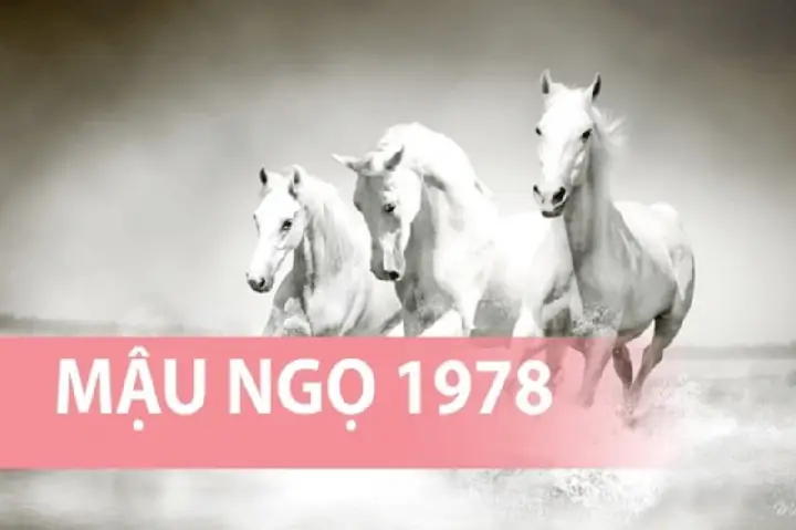 Tuổi Mậu Ngọ 1978 Đặt Bếp Hướng Nào Tốt?