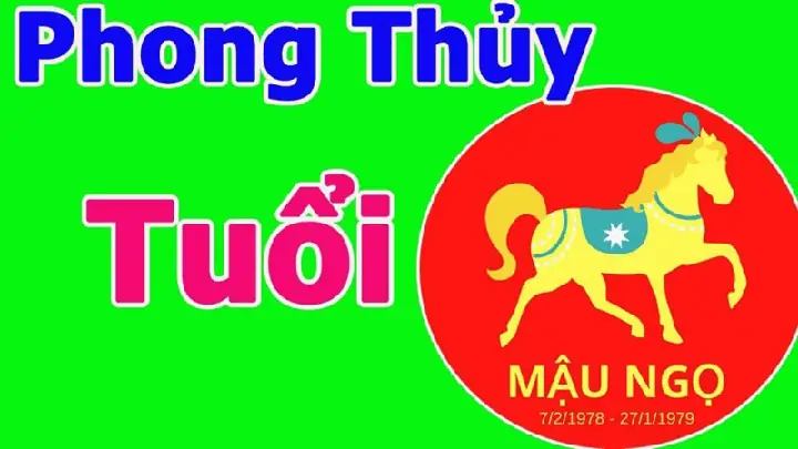 Hướng Bếp Tuổi Mậu Ngọ 1978 Nữ