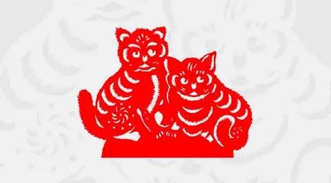 Tử Vi Cho Tuổi Đinh Mão Năm 2021 Chính Xác Nhất