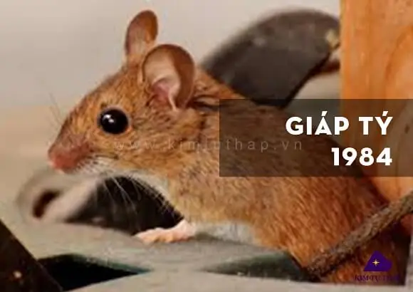 Hướng Tốt Cho Tuổi Giáp Tý Hướng Tốt Cho Tuổi Giáp Tý