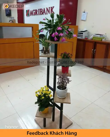 Kệ Cây Văn Phòng Kg10 Kệ Cây Văn Phòng Kg10