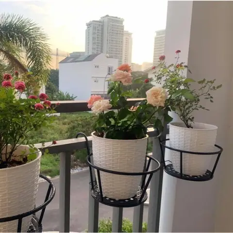 Lợi Ích Giỏ Sắt Treo Chậu, Khung Treo Chậu Trang Trí Ban Công