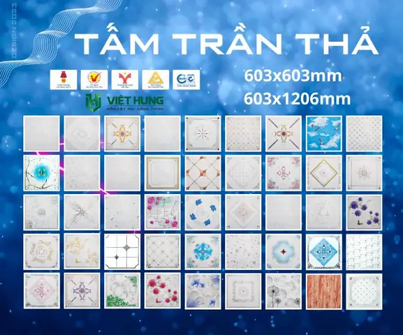 Thế Nào Là La Phong Trần Nhà?