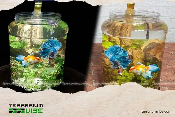 Làm Bể Thủy Sinh Giá Rẻ: Hướng Dẫn Từ A-z Cho Gia Chủ