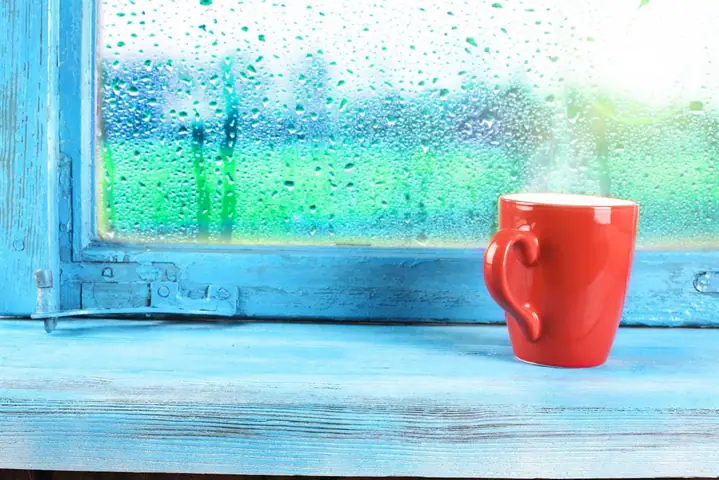 2nguyên Nhân Gây Ra Hiện Tượng Nồm