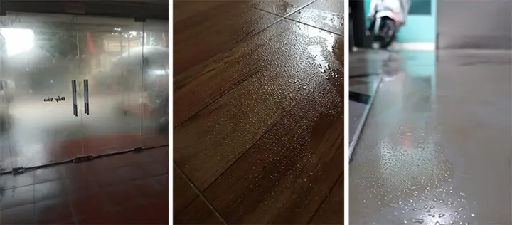 Dấu Hiệu Của Mùa Nồm Dấu Hiệu Của Mùa Nồm