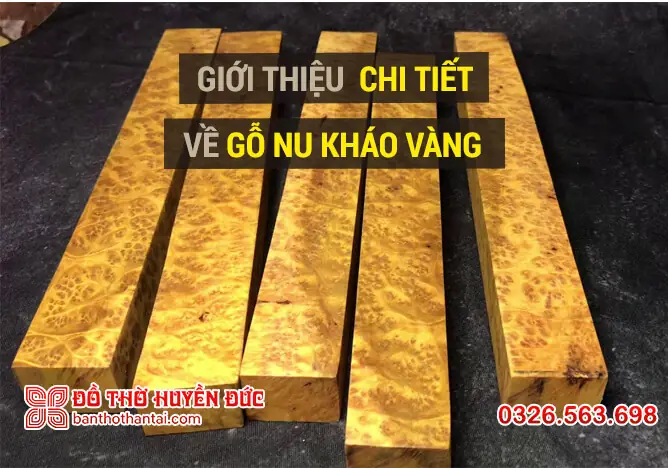 Giới Thiệu Chi Tiết Về Gỗ Nu Kháo Vàng Giới Thiệu Chi Tiết Về Gỗ Nu Kháo Vàng