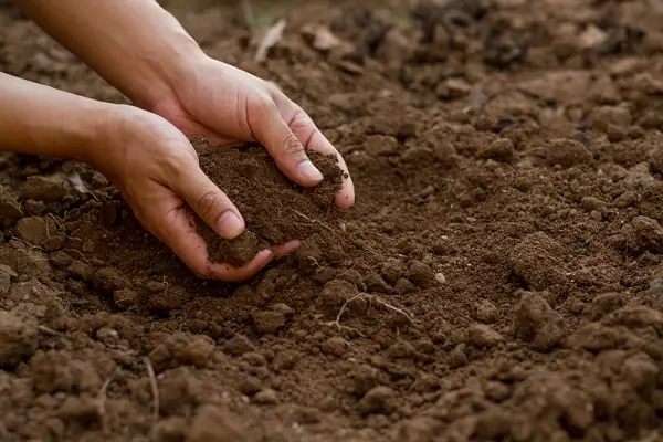 Đặc Điểm, Tính Cách Người Mệnh Thổ Đặc Điểm, Tính Cách Người Mệnh Thổ