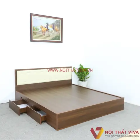 Quan Tâm Đến Kích Thước Và Màu Sắc