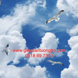 Tranh Dán Tường Trần Nhà