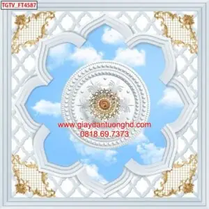 Tranh Dán Tường Trần Nhà