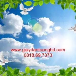 Tranh Dán Tường Trần Nhà