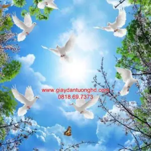 Tranh Dán Tường Trần Nhà