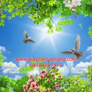 Tranh Dán Tường Trần Nhà