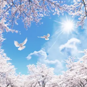 Tranh Dán Tường Trần Nhà