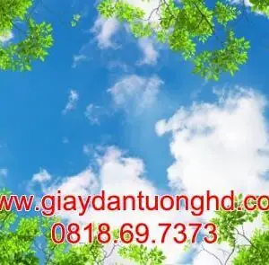 Tranh Dán Tường Trần Nhà