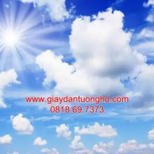 Tranh Dán Tường Trần Nhà