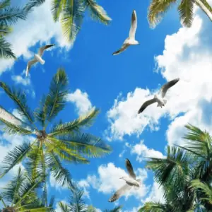 Tranh Dán Tường Trần Nhà