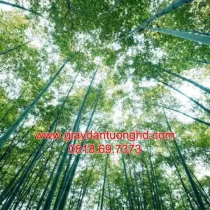 Tranh Dán Tường Trần Nhà