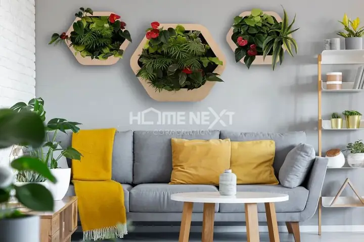 Tiểu Cảnh Là Gì?