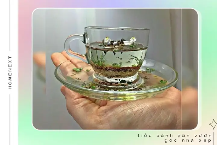 🏵️2.8.tiểu Cảnh Trên Bàn Làm Việc