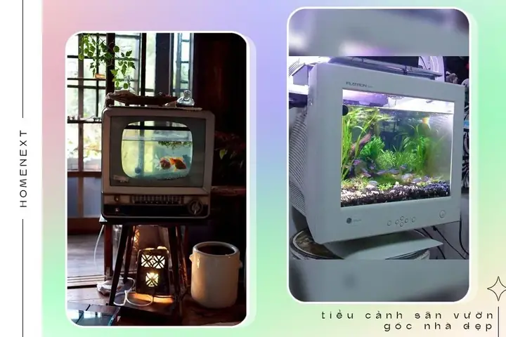 🏵️2.5.tiểu Cảnh Hồ Cá Đặc Sắc Sinh Động