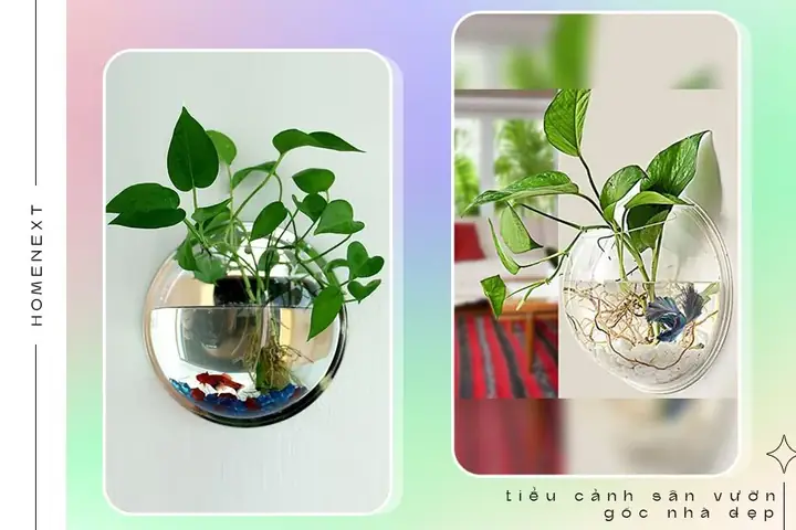 🏵️2.5.tiểu Cảnh Hồ Cá Đặc Sắc Sinh Động