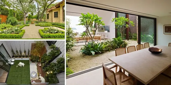 Tiểu Cảnh Là Gì?