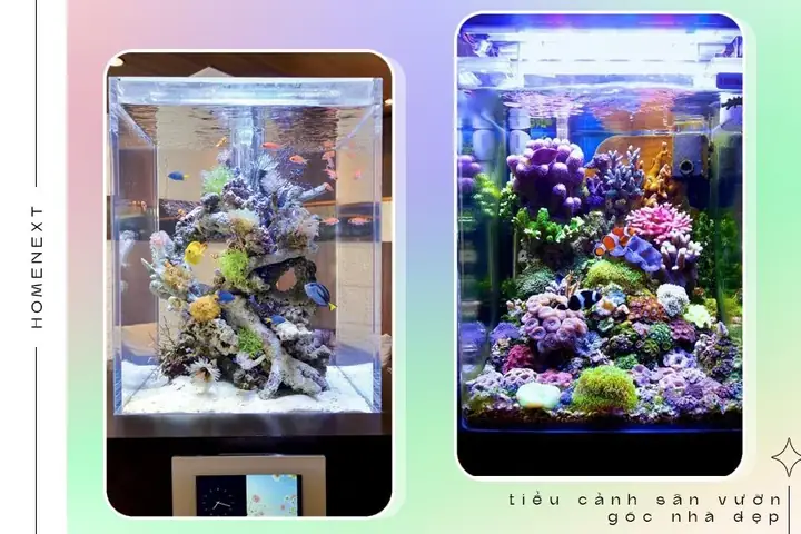 🏵️2.5.tiểu Cảnh Hồ Cá Đặc Sắc Sinh Động