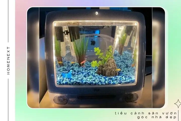 🏵️2.5.tiểu Cảnh Hồ Cá Đặc Sắc Sinh Động