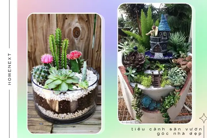 🏵️2.8.tiểu Cảnh Trên Bàn Làm Việc