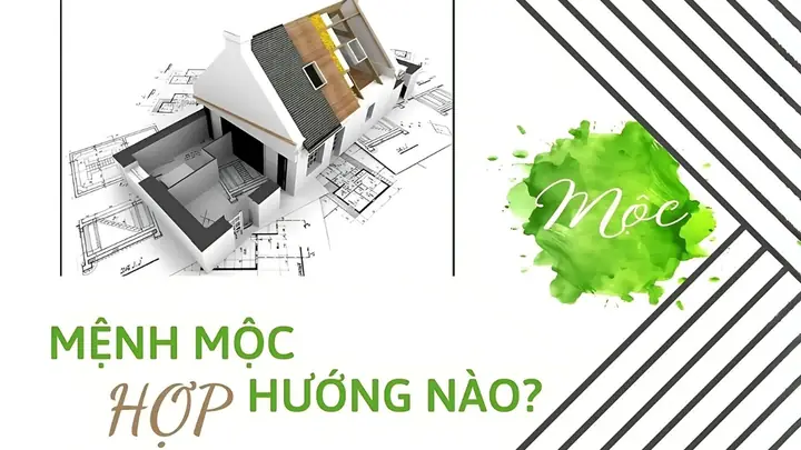 Nữ Mệnh Mộc Hợp Mệnh Gì