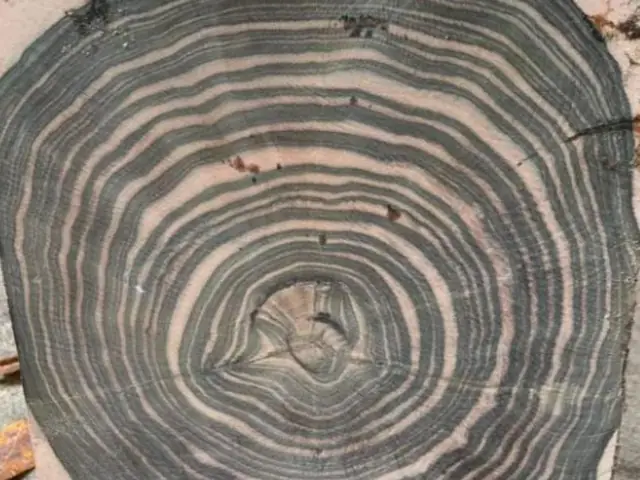 Mệnh Thuỷ Hợp Gỗ Mun