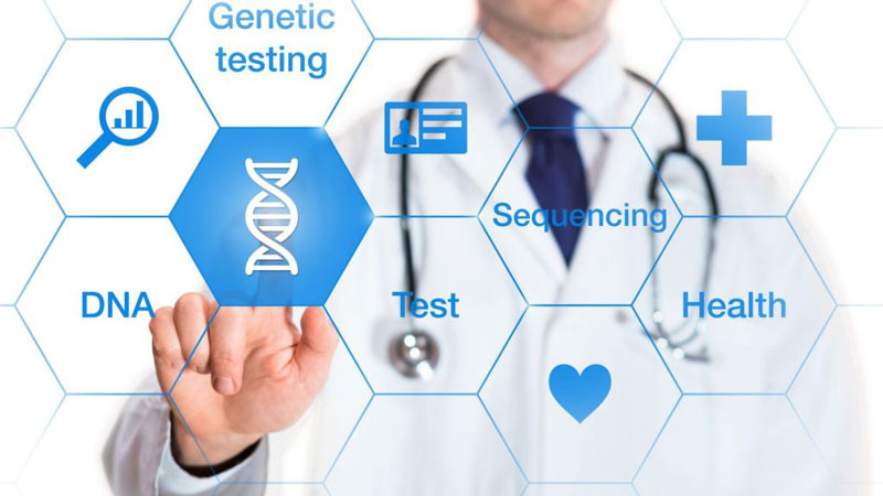 Mô hình giải thích nguyên tắc cơ bản của phân tích ADN để xác định quan hệ huyết thống