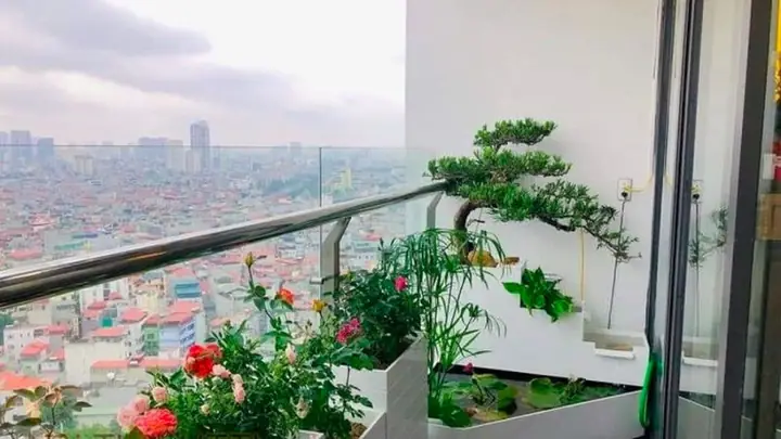 Mua Chung Cư Xem Hướng Cửa Hay Ban Công