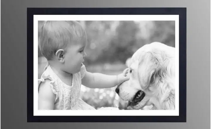 Mua Tranh Treo Tường Hình Em Bé Ở Đâu Tại Tphcm?