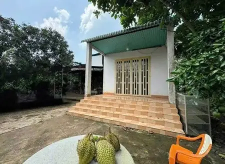 Mua Nhà Cấp 4 Giá Rẻ Ở Bình Dương: Cẩm Nang Từ A Đến Z