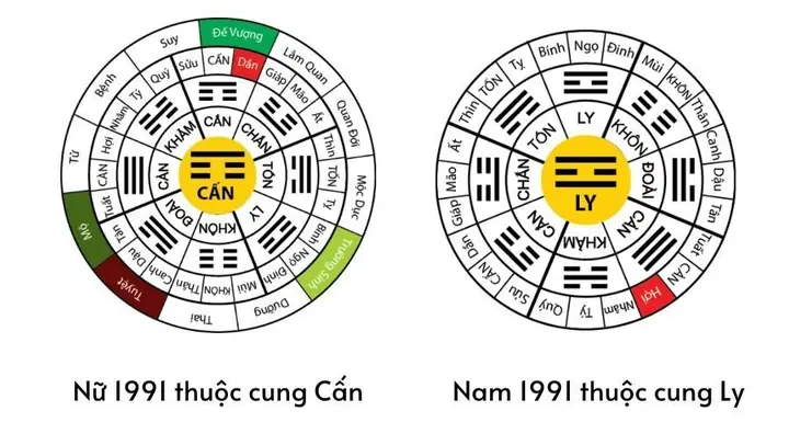 Sinh Năm 1991 Thuộc Cung Gì? Sinh Năm 1991 Thuộc Cung Gì?