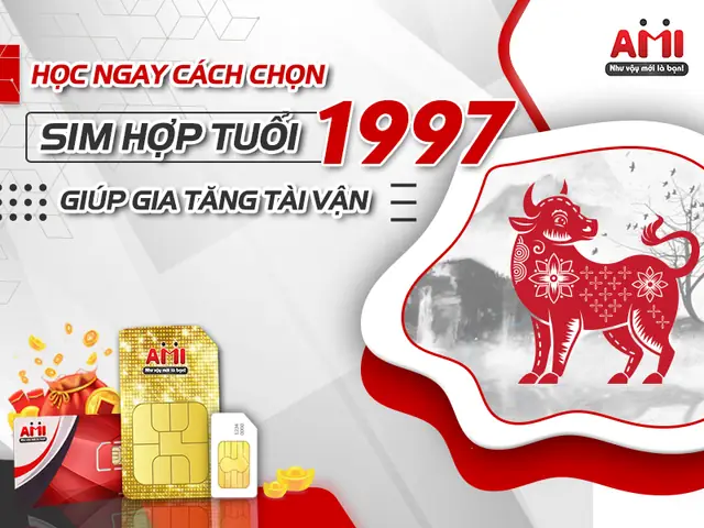Dòng Sim Nào Phù Hợp Với Tuổi Đinh Sửu 1997