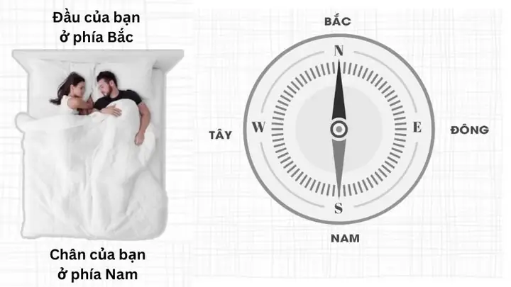 Quay Đầu Hướng Bắc – Nam: Lựa Chọn Tối Ưu Cho Giấc Ngủ Sâu